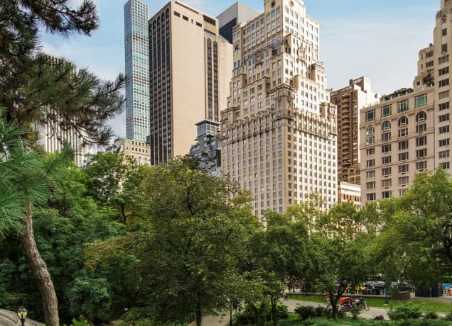 ritz carlton central park