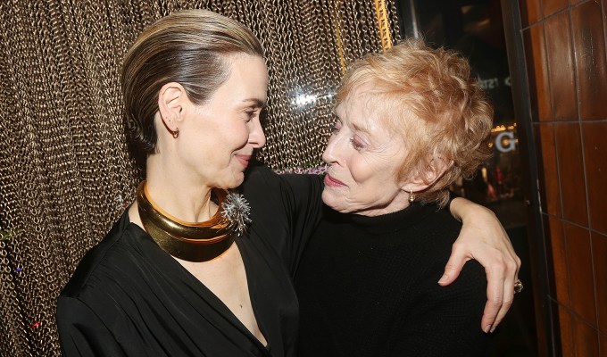 black cat golden retriver 4