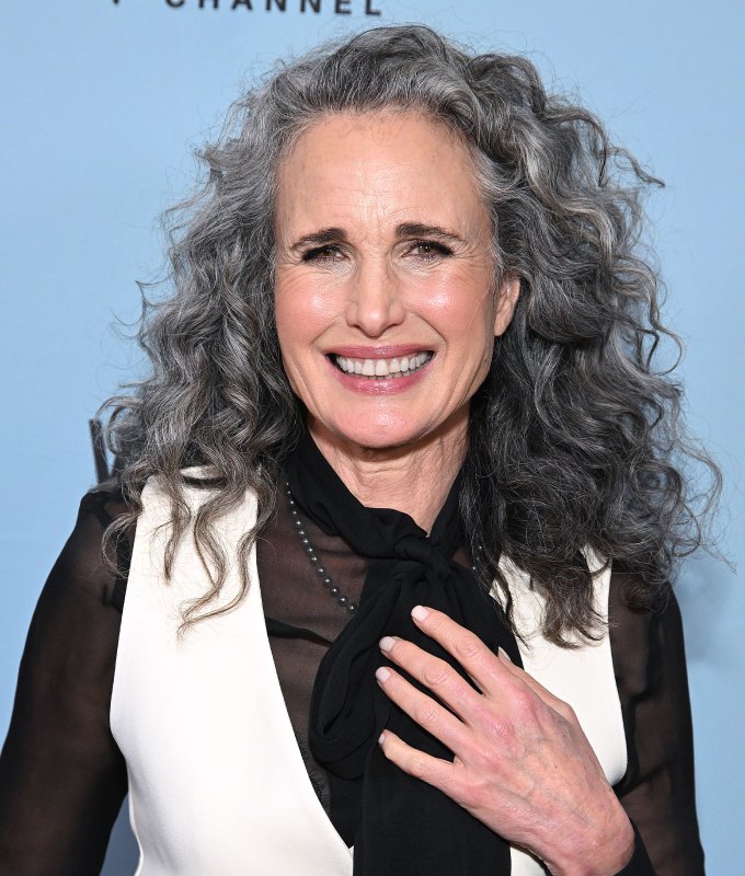 gray blending for dark hair custom blending