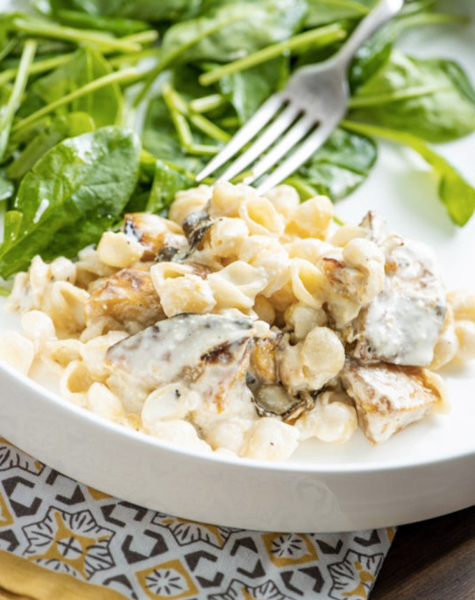 kid friendly pasta recipes pasta shells1